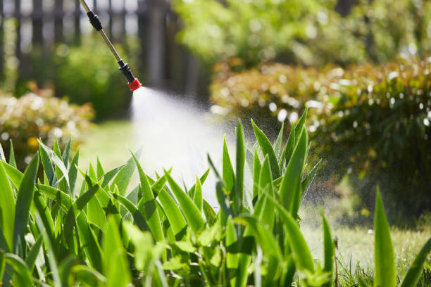 24/7 Emergency Mosquito Control experts in Lincoln Center, KS