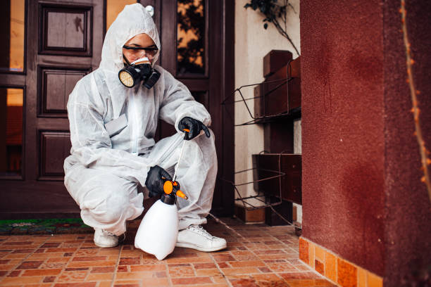 Reliable Mosquito Control contractor in Lincoln Center, KS by Show Me Pest Control